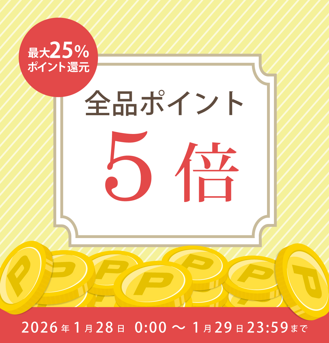 48時間限定★全品P5倍